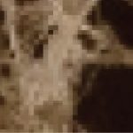 brown dark emperador